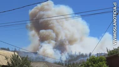 Corma, Pyme Mad-Maule y pequeños madereros cuantifican pérdidas por incendios forestales