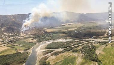 [FOTOS] Nuevo incendio forestal amenaza viviendas en Hualañé