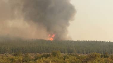 Controlado nuevo incendio forestal en Hualañé