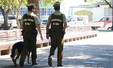 Patrulla canina incluye en sus rondas a zonas residenciales en Curicó