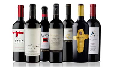 Vinos chilenos tienen un 53% de participación de mercado en Brasil