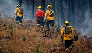 Alerta Amarilla por incendio forestal en Longaví