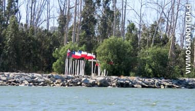 Piden eliminar eucaliptus secos de la Isla Orrego