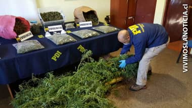 Capturan a sujeto con abundante marihuana y cocaína en Los Niches
