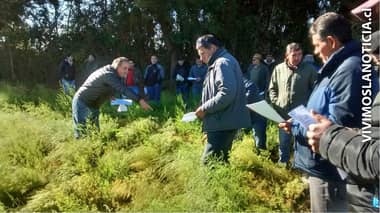 Exploran nuevas variedades de espárragos