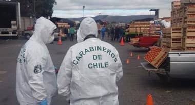 Encuentran muerto a hombre en macroferia de Talca
