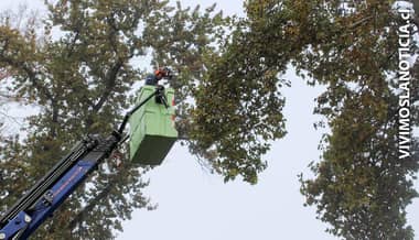 Municipio curicano lanzó su plan invierno 2017