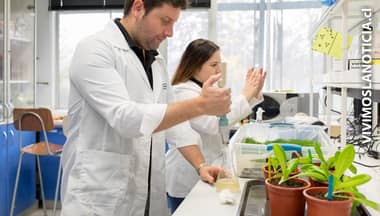 Científicos crean súper vegetales con bacterias de la Antártica