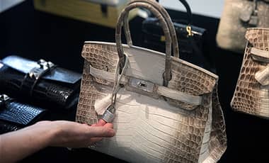 Conoce la cartera que vale $255 millones