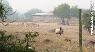 Ministerio del medio ambiente inicia restauración ecológica y social de zonas devastadas