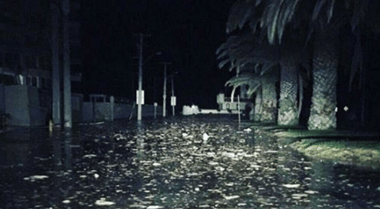 [VIDEO] Tsunami inundó puerto de Turquía tras fuerte terremoto
