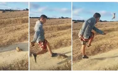 Buscan al joven que pateó un conejo al grito de “Cristiano Ronaldo”