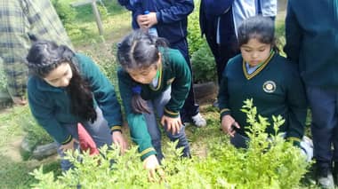 Estudiantes aprenden a cuidar el medioambiente