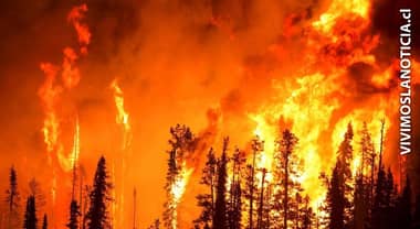 Senapred decretó alerta amarilla por incendios forestales en el Maule