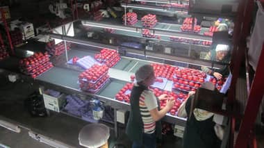 38 centros de atención funcionan por temporada agrícola