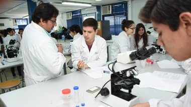 La ciencia sale a la calle: Congreso internacional de acarología llega a la plaza de armas de Curicó