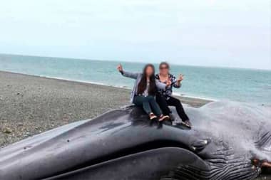 Foto junto a ballena muerta en Magallanes causa indignación en redes sociales