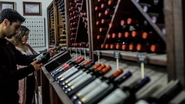 Marzo: mes del vino y enoturismo en la región del Maule