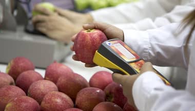 Crean método para conocer características de la fruta 6 meses antes de cosecharse