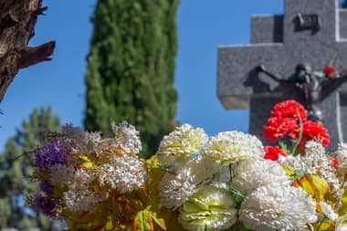 Presentan millonaria demanda por extravío de osamentas desde Cementerio Municipal.