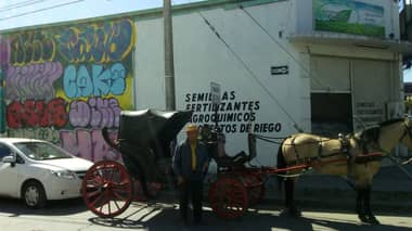 Único victoriero de Curicó reclama contra conductores que ocupan su paradero