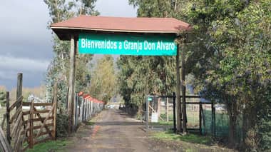 Consejo provincial de alcaldes potencia granja educativa en Teno