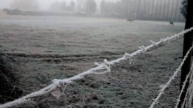 La temperatura más baja del invierno y cencelladas en Curicó