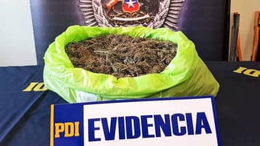 PDI detiene a sujeto que vendía marihuana en tienda comercial en Curicó