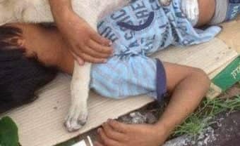 Hallan a hermanos de 6 y 8 años durmiendo rodeados de basura y perros en Maipú