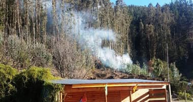 Incendio forestal en pleno invierno encendió las alertas en Constitución