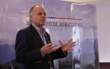 Curicó se alista para un nuevo encuentro regional de Fedefruta
