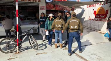 Estricta fiscalización para el control del abigeato en Curicó