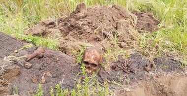 Osamentas humanas encontradas en Iloca movilizan a la policía