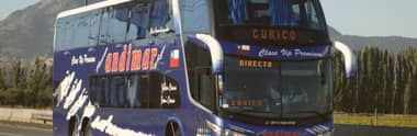 Pasajeros sostienen que empresa de buses se niega a utilizar paraderos ubicados en Avenida Alessandri