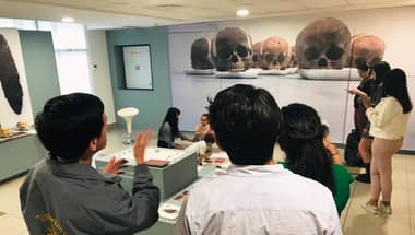 Museos de medianoche celebró sus 16 años con cientos de visitas en el Maule