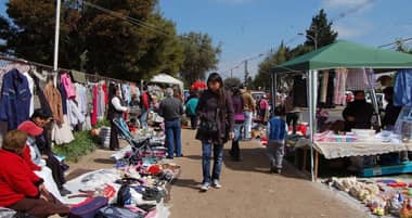 Contraloría ordenó a Municipalidad de Curicó cambiar reglamento de Feria de las Pulgas por ordenanza