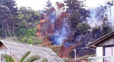Conaf y Bomberos de Licantén e Iloca controlan incendio forestal en Duao