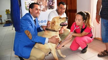 Sagrada Familia a la vanguardia en acciones para la tenencia responsable de mascotas