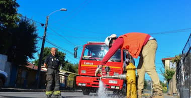 Nuevosur y autoridades curicanas hacen llamado a proteger los grifos