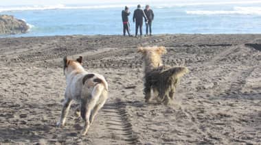 Hasta 5 millones de pesos en multa se exponen quienes bloqueen acceso a playa