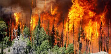 19 incendios forestales "relevantes" activos en el centro sur del país