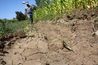 Junta de Vigilancia del Río Lontué criticó al Gobierno por reacción frente a la sequía en el Maule