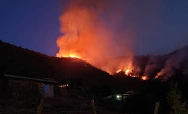 Región del Maule: dos incendios forestales se mantienen activos