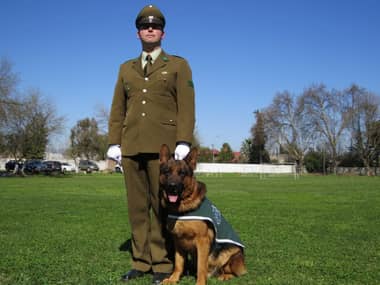 Pastor Alemán pasa a retiro tras 6 años de servicio en Carabineros de Curicó