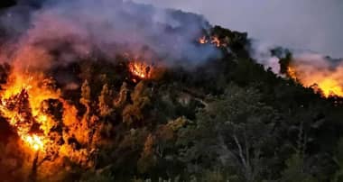 Región del Maule: Tres incendios activos según último informe de la CONAF