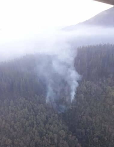 Logran controlar incendio forestal en La Hornilla en Upeo