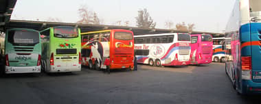 Terminal de Buses de Curicó actualiza horarios de recorridos para este miércoles