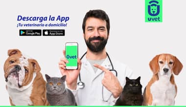 UVET, la aplicación chilena para contratar veterinarios a domicilio