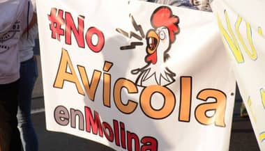 Alcaldesa de Molina criticó proyecto de empresa Agricovial en sesión del Concejo Municipal