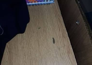 Denuncian presencia de excremento de ratas en Colegio San José de Curicó